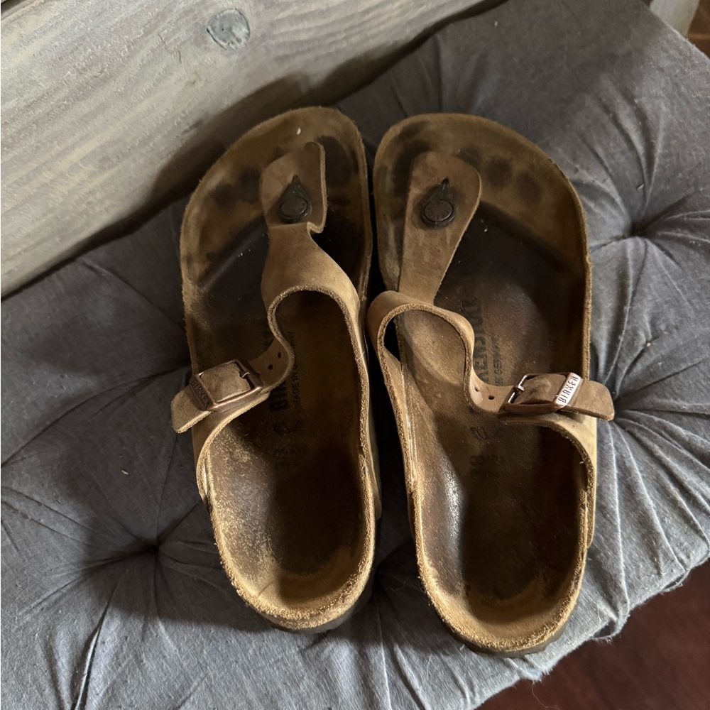 Birkenstock Gizeh Oiled Leather